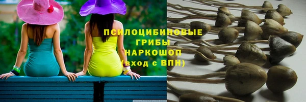 прущая мука Абаза