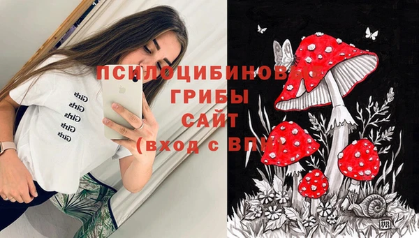 амф Абдулино