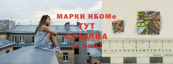 ПСИЛОЦИБИНОВЫЕ ГРИБЫ Корсаков