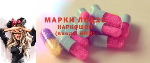 прущие грибы Абинск
