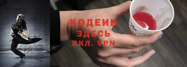 прущие грибы Абинск