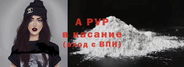 прущие грибы Абинск