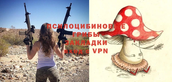 прущие грибы Абинск