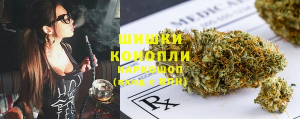 прущие грибы Абинск