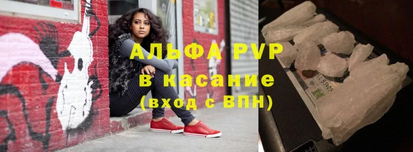 прущие грибы Абинск