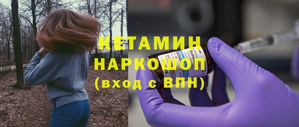 прущие грибы Абинск