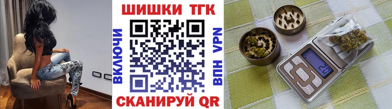 Бошки марихуана Amnesia где купить наркотик Зеленогорск